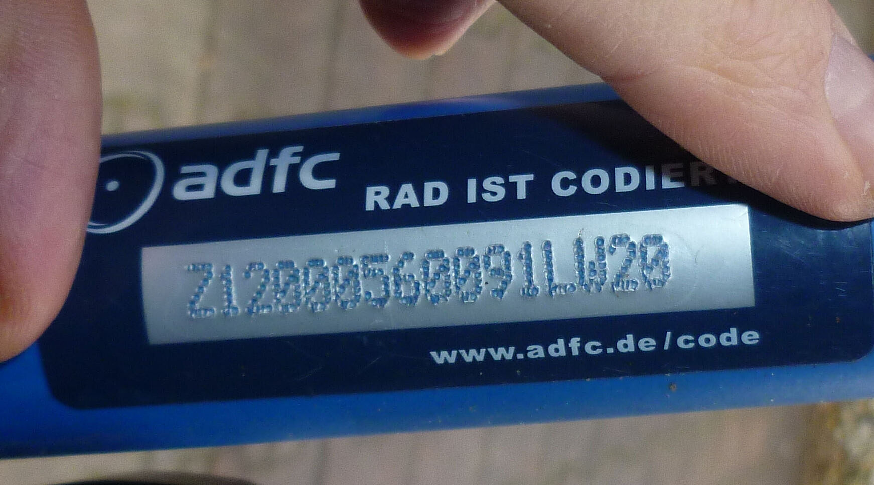 Codierung und Kleber